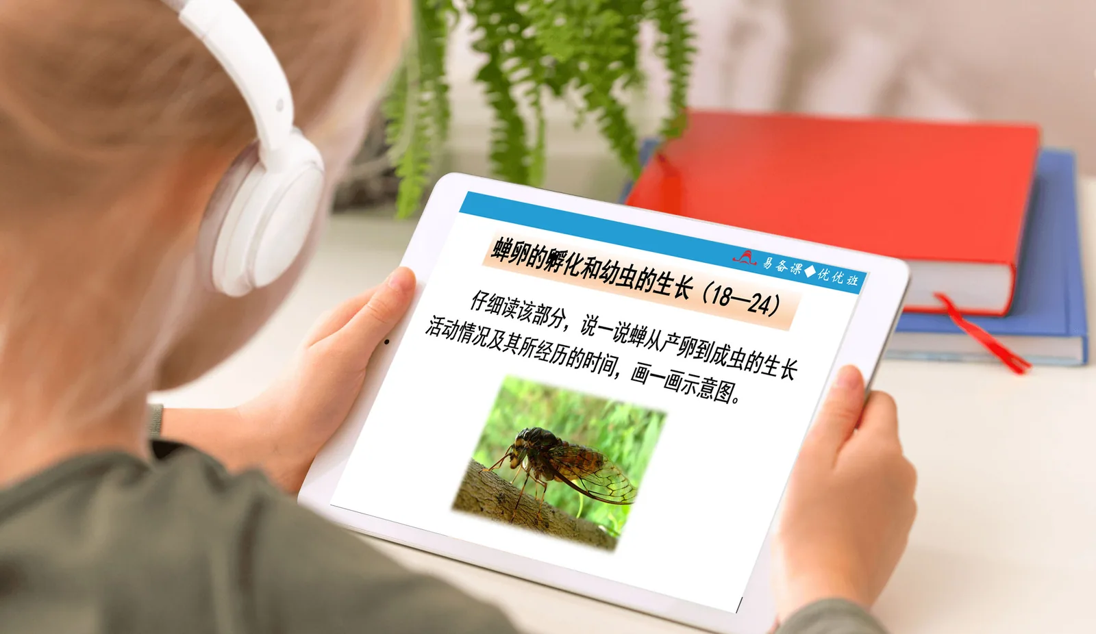 进阶中文